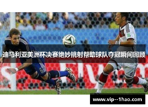 迪马利亚美洲杯决赛绝妙挑射帮助球队夺冠瞬间回顾